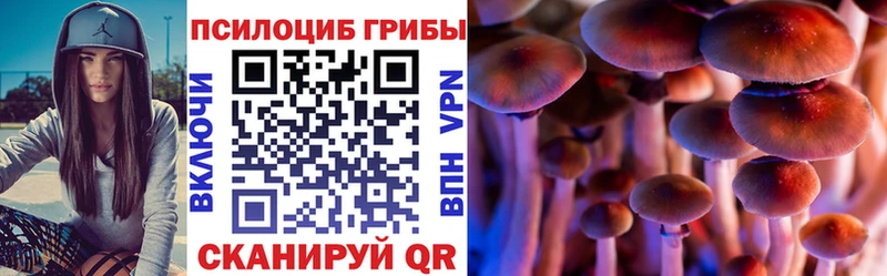 сайты даркнета как зайти  купить   Оренбург  Галлюциногенные грибы GOLDEN TEACHER 