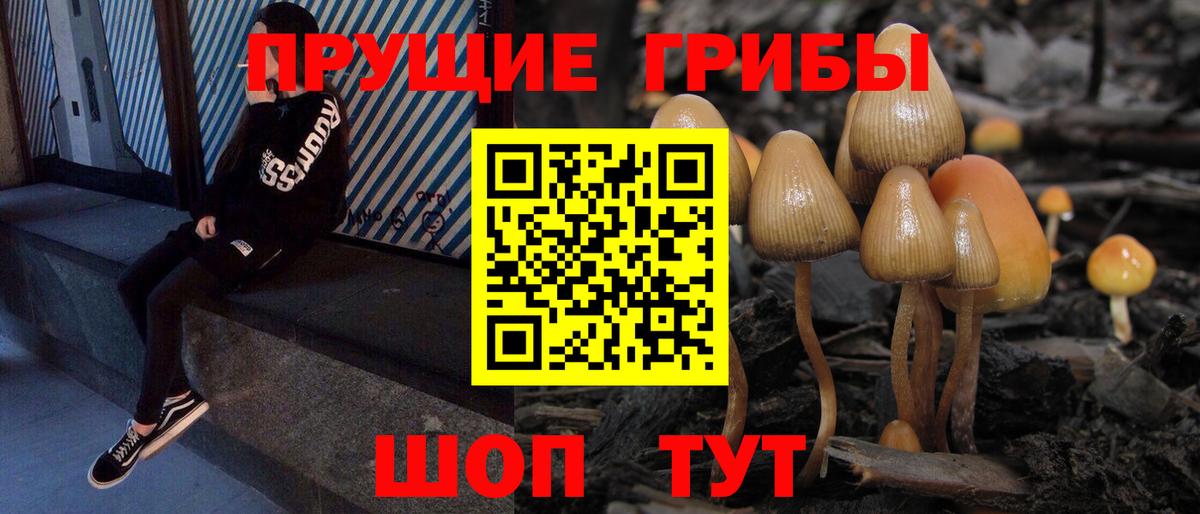 Галлюциногенные грибы Magic Shrooms  Вход с VPN  Оренбург 